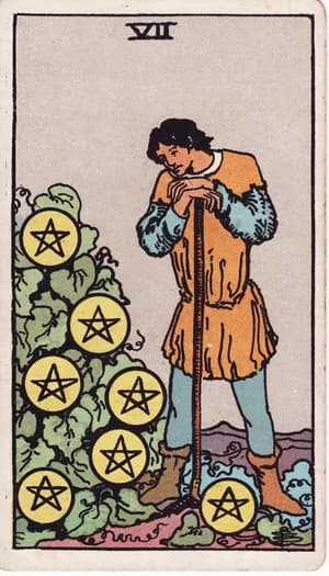 Seven of Pentacles tarot card from the Rider-Waite-Smith deck