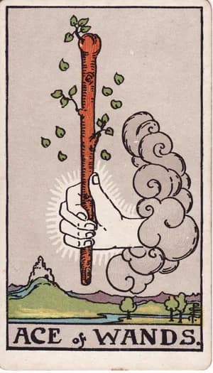Ace of Wands tarot card from the Rider-Waite-Smith deck